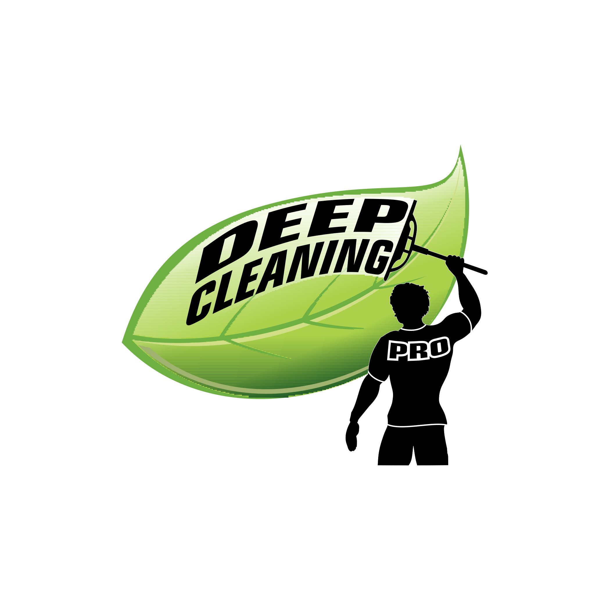 Logo for Deep Cleaning Pro